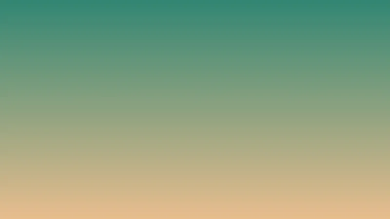 So Sánh Các Lựa Chọn Sàn: Gỗ Tự Nhiên, Gạch, Vinyl Và Thảm